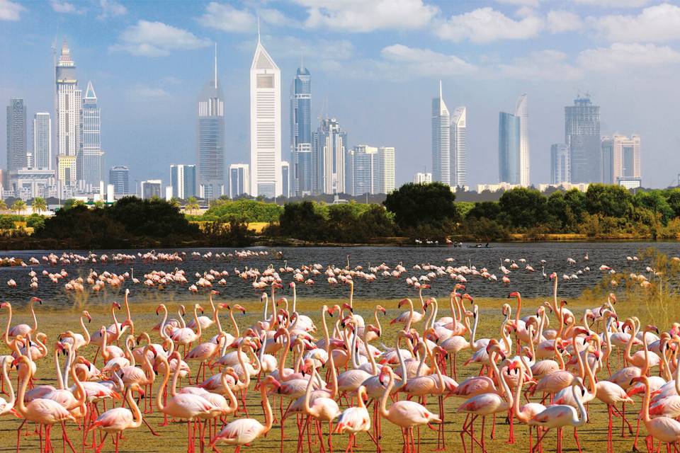Close to Ras Al Khor Nature Reserve and Dubai Canal